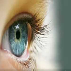 Navigating Eye Health: Finding The Right Eye Specialist In Chinchwad