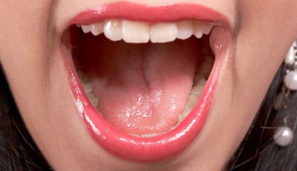 Understanding Your Mouth: How Everything Inside Works Together